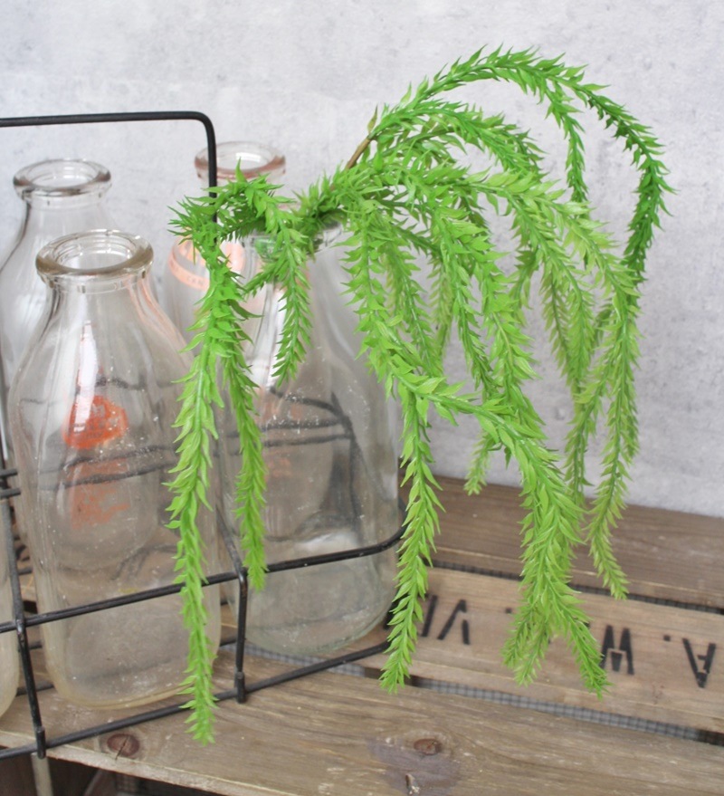 リコポディウム