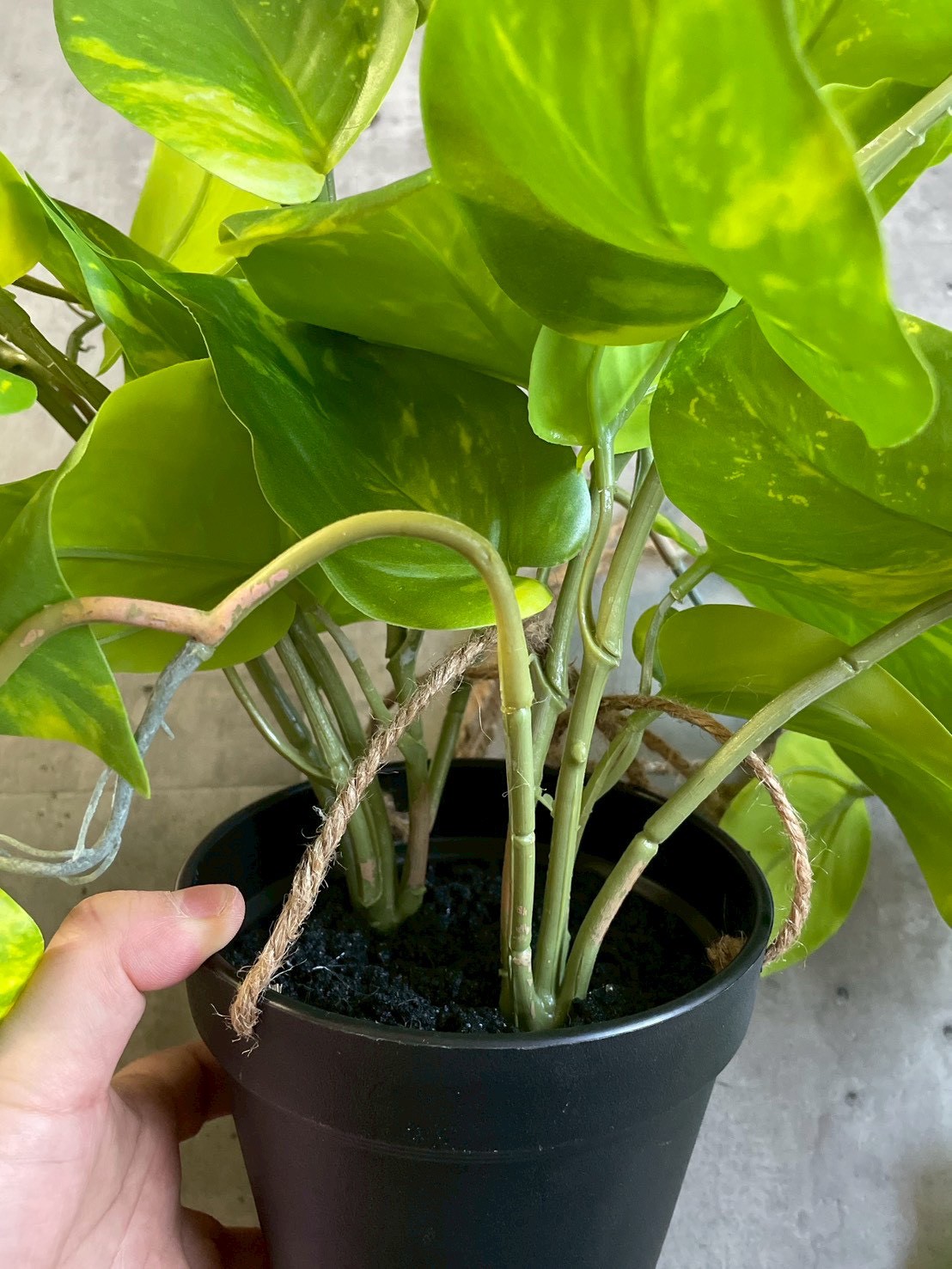 もりもりわさわさポトス|おしゃれなフェイクグリーン・人工観葉植物