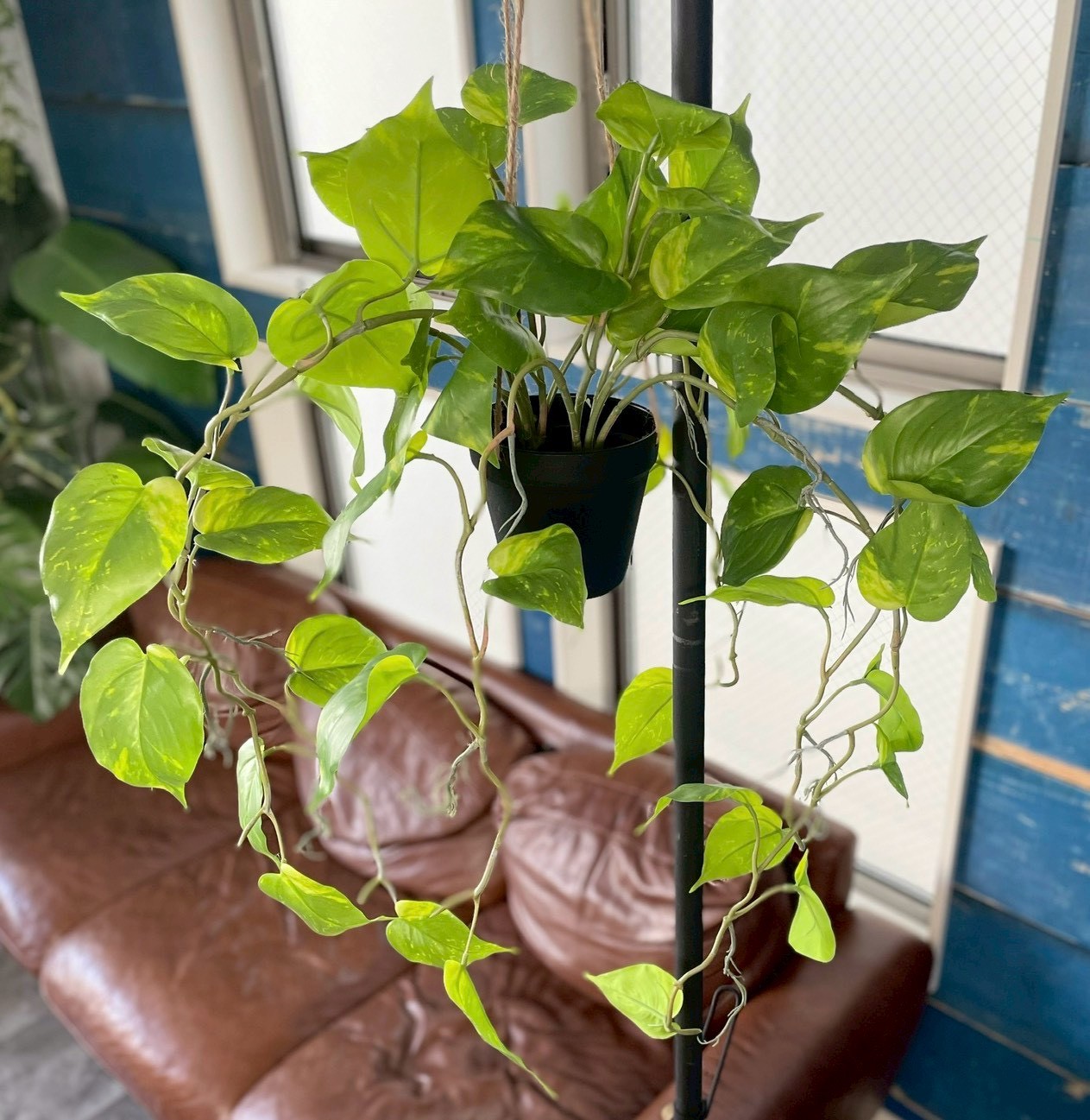 ロドス 生写真 もりもりわさわさポトス|おしゃれなフェイクグリーン・人工観葉植物