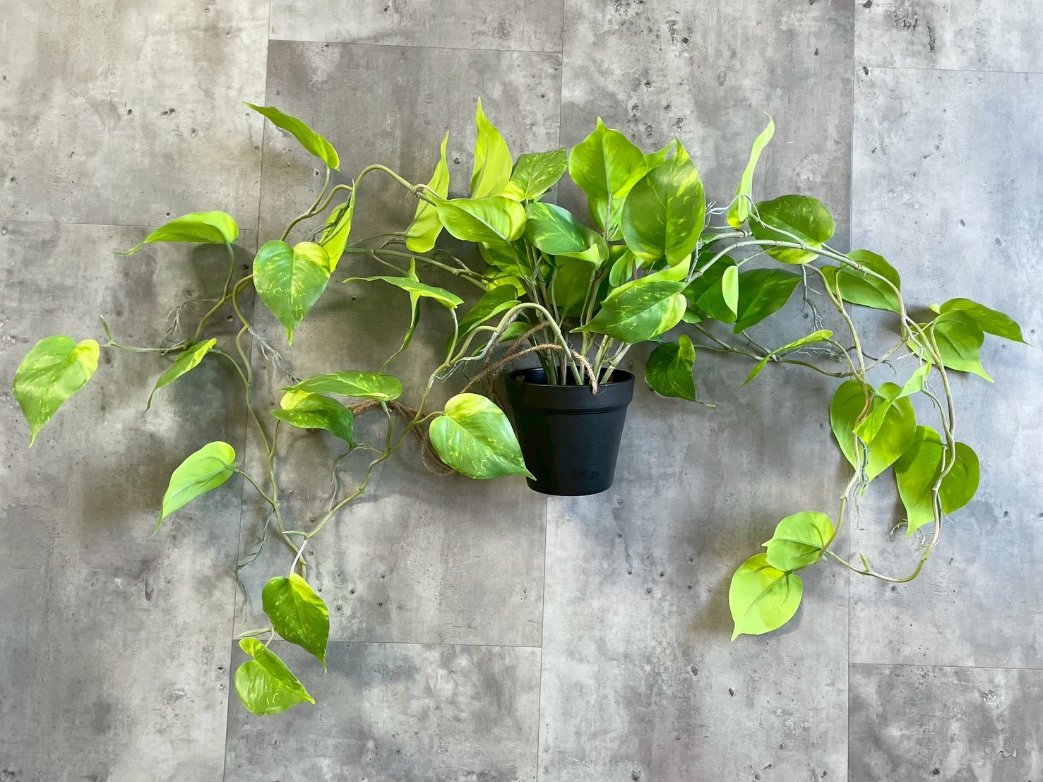 もりもりわさわさポトス|おしゃれなフェイクグリーン・人工観葉植物