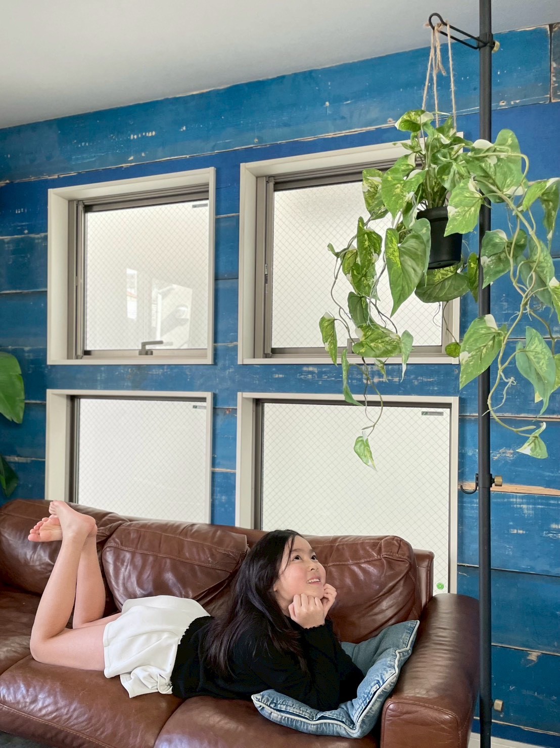 もりもりわさわさ斑入りフィロデンドロン