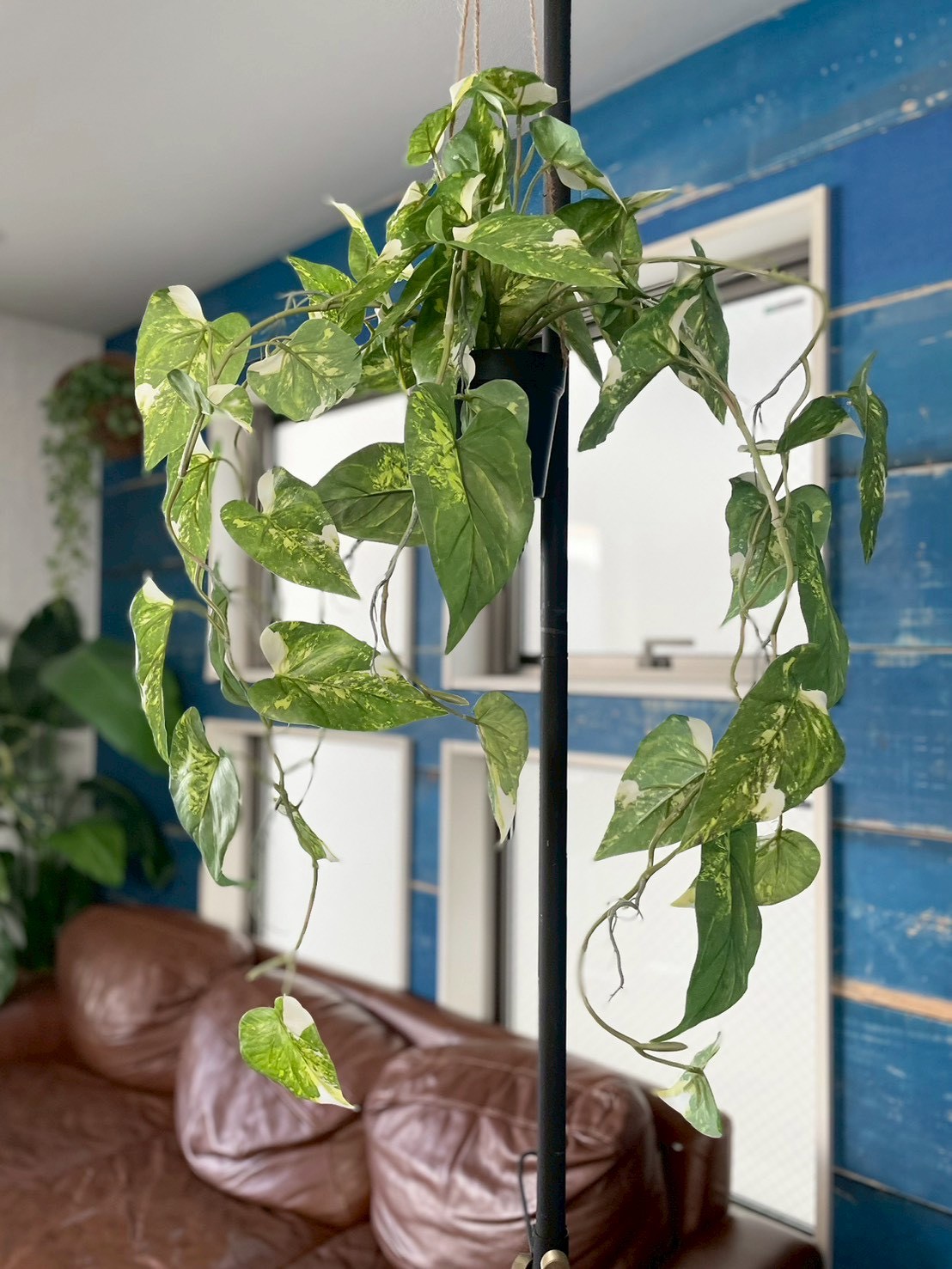 もりもりわさわさ斑入りフィロデンドロン|おしゃれなフェイクグリーン