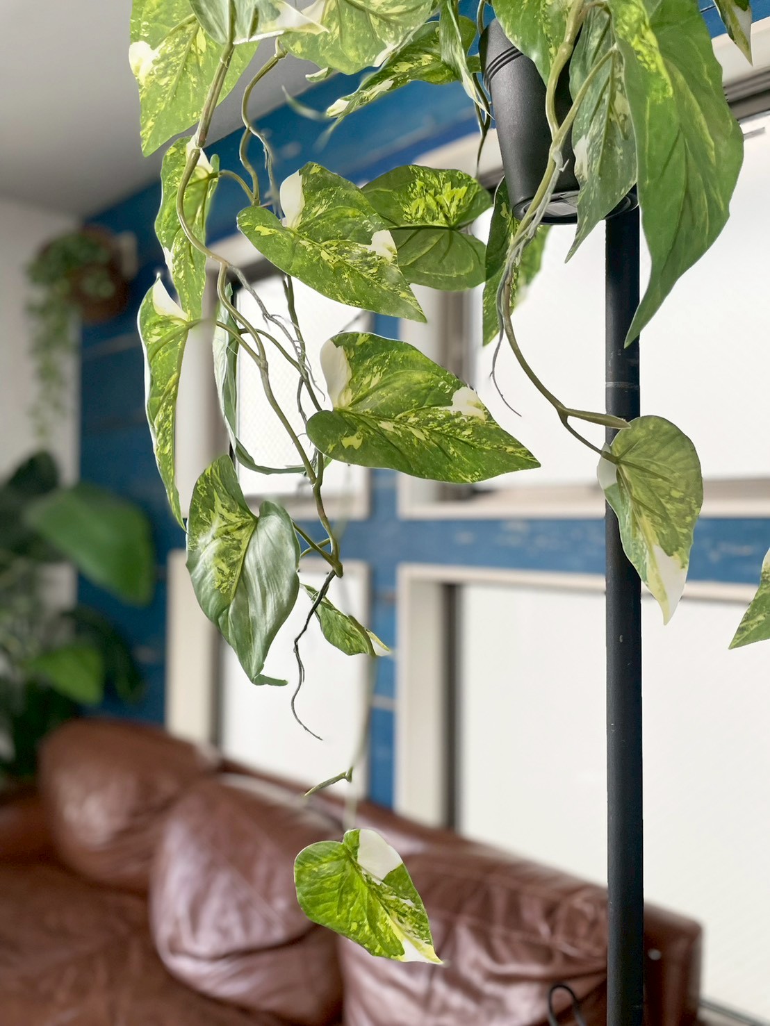 もりもりわさわさ斑入りフィロデンドロン|おしゃれなフェイクグリーン