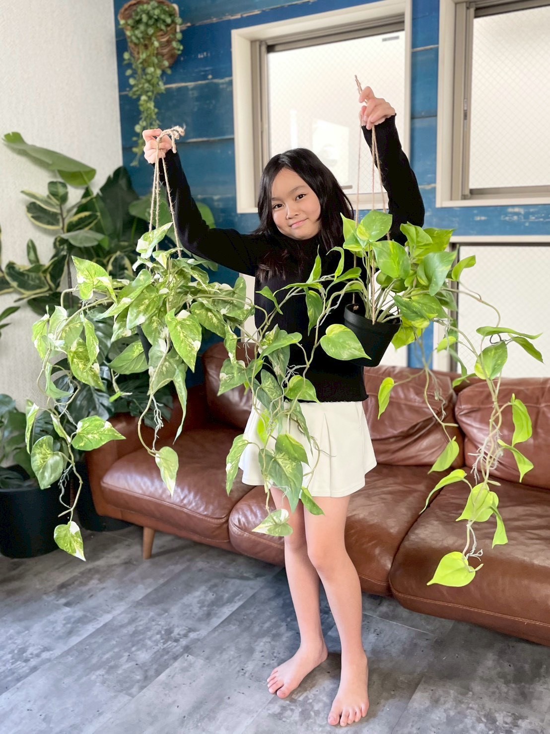 もりもりわさわさ斑入りフィロデンドロン