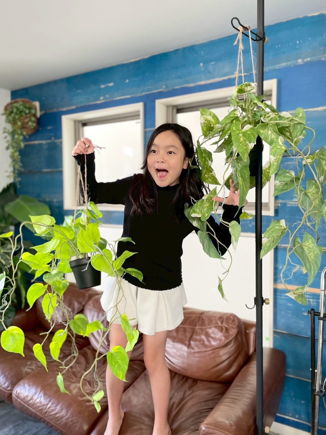 もりもりわさわさ斑入りフィロデンドロン