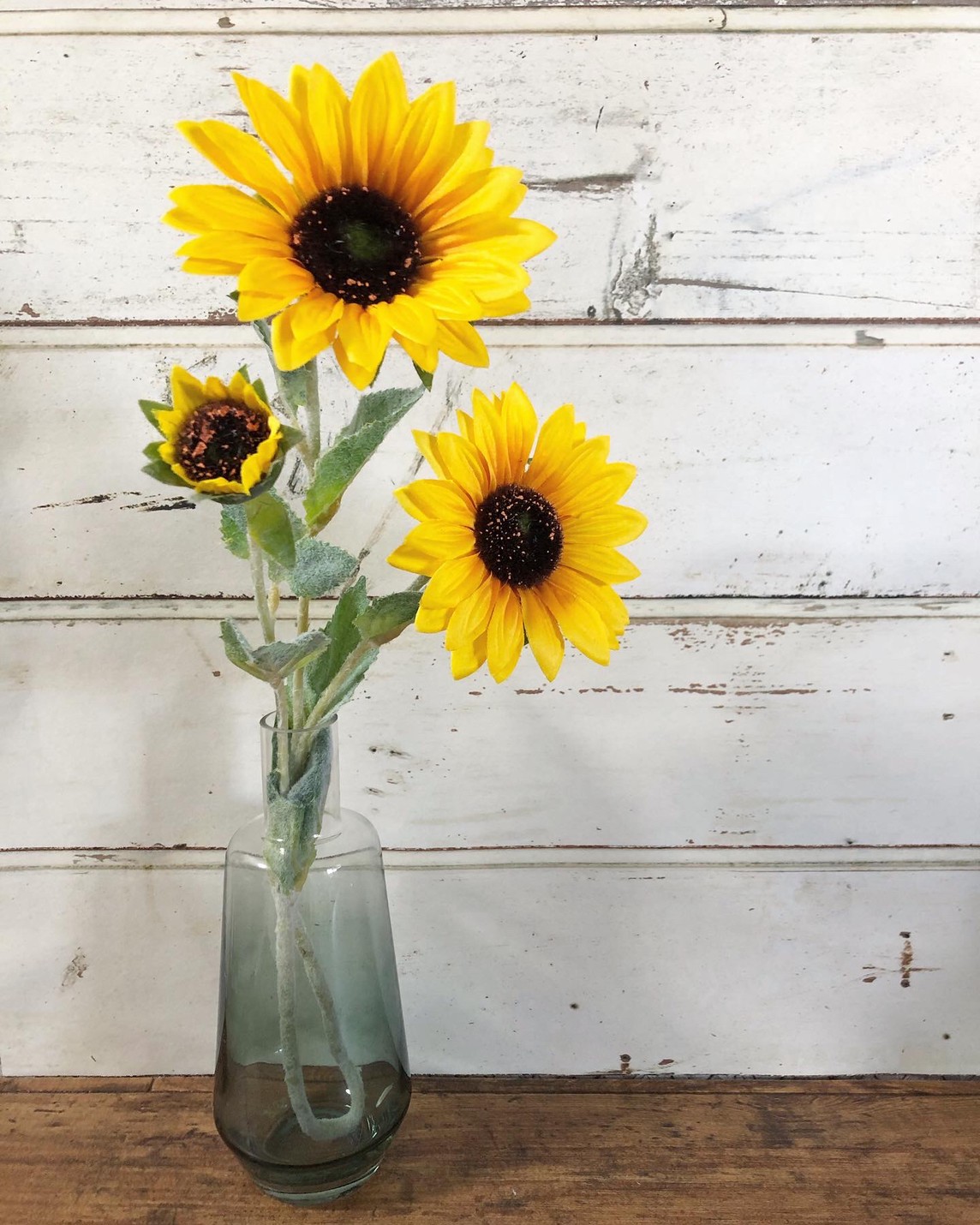 ֥롼ǤΥ饹ӡʹ⤵20.5ѡ