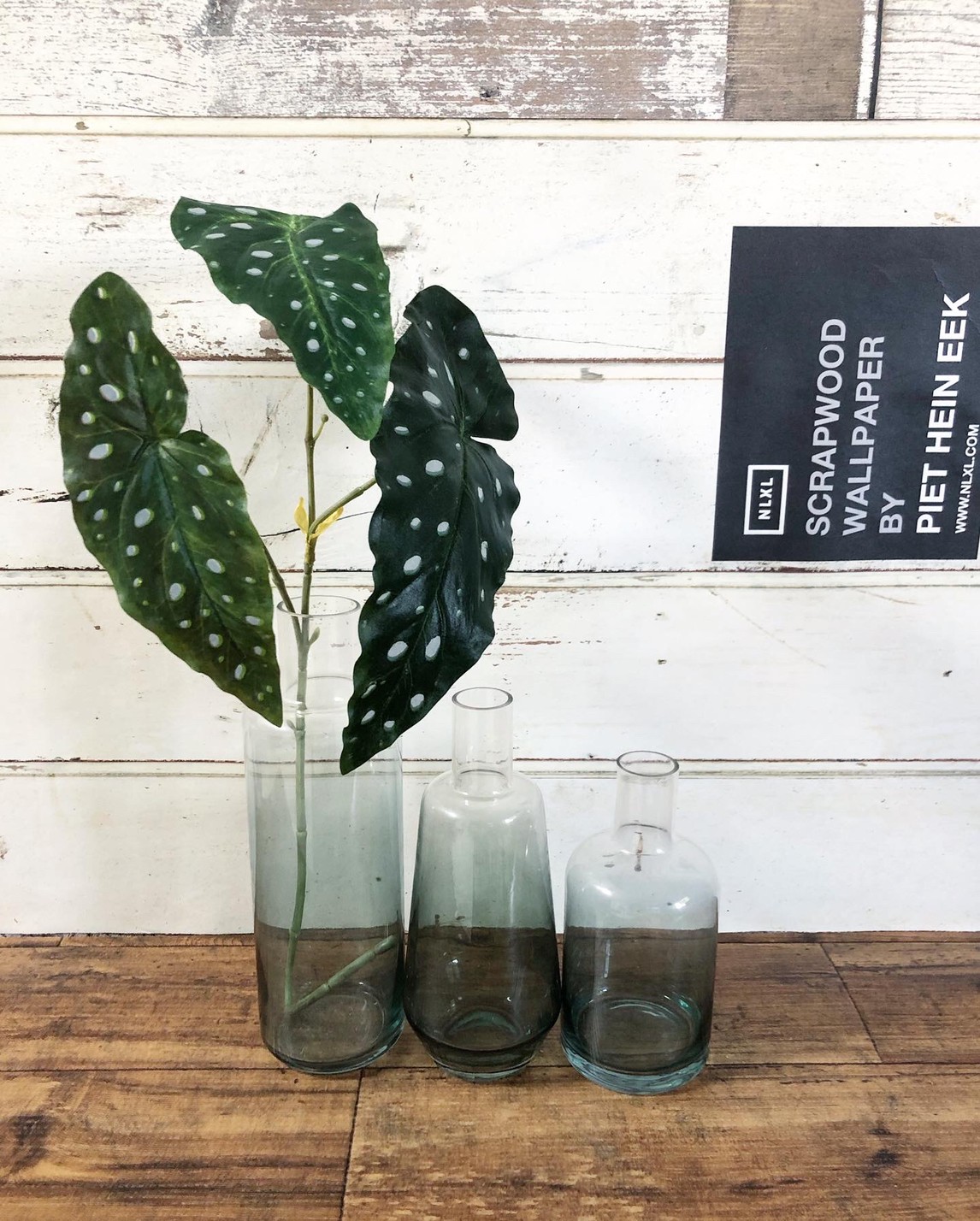 ֥롼ǤΥ饹ӡʹ⤵20.5ѡ