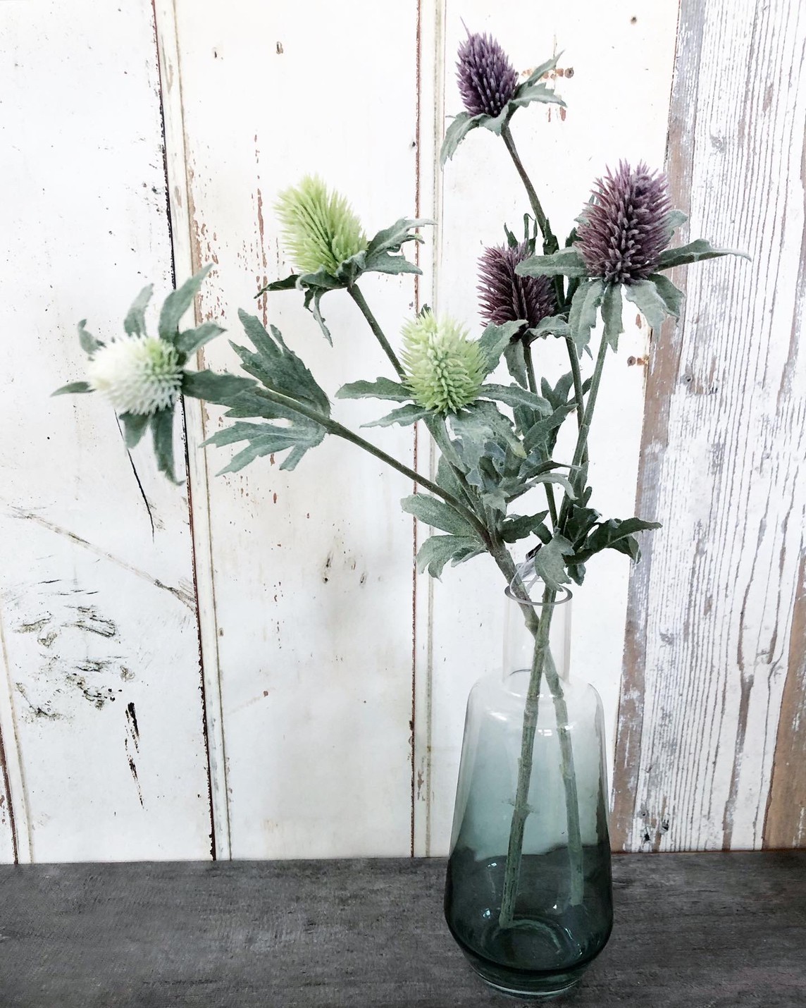 ֥롼ǤΥ饹ӡʹ⤵20.5ѡ