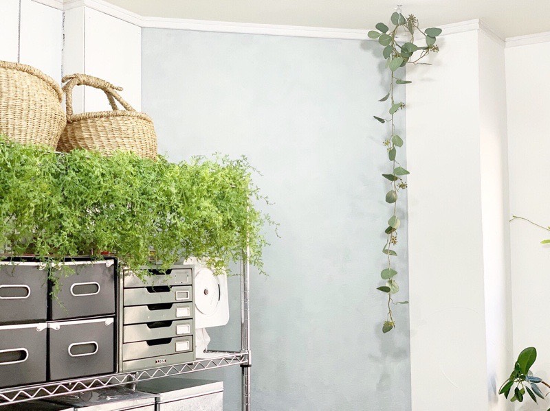 丸い葉っぱのユーカリガーランド