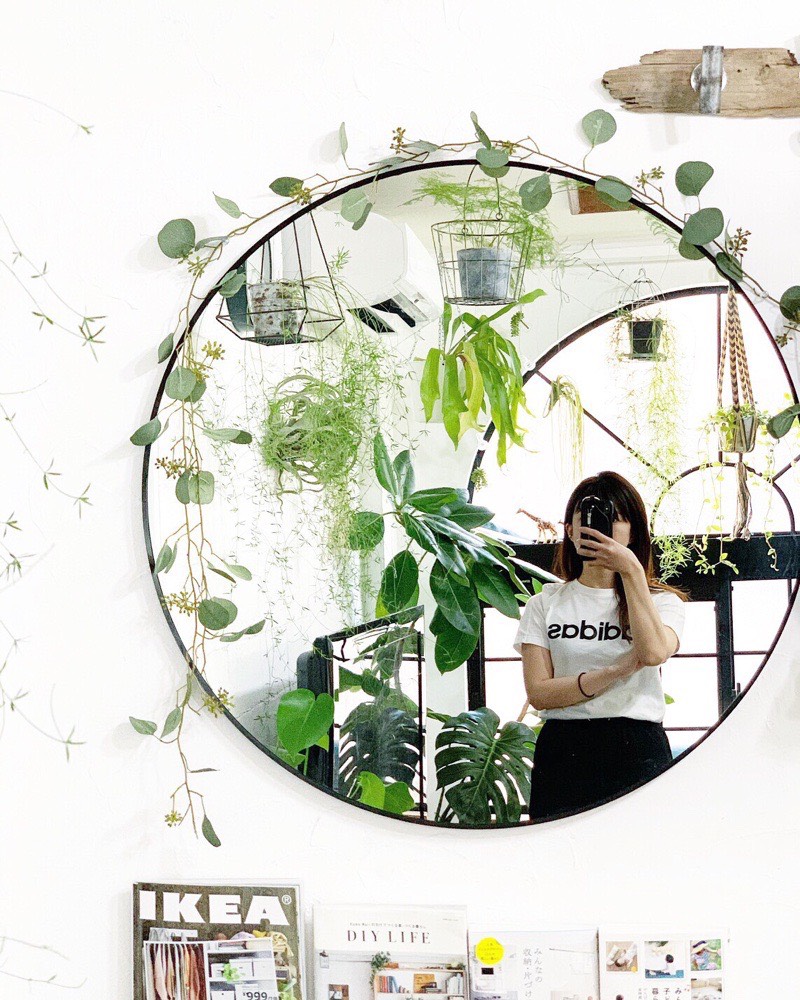 丸い葉っぱのユーカリガーランド