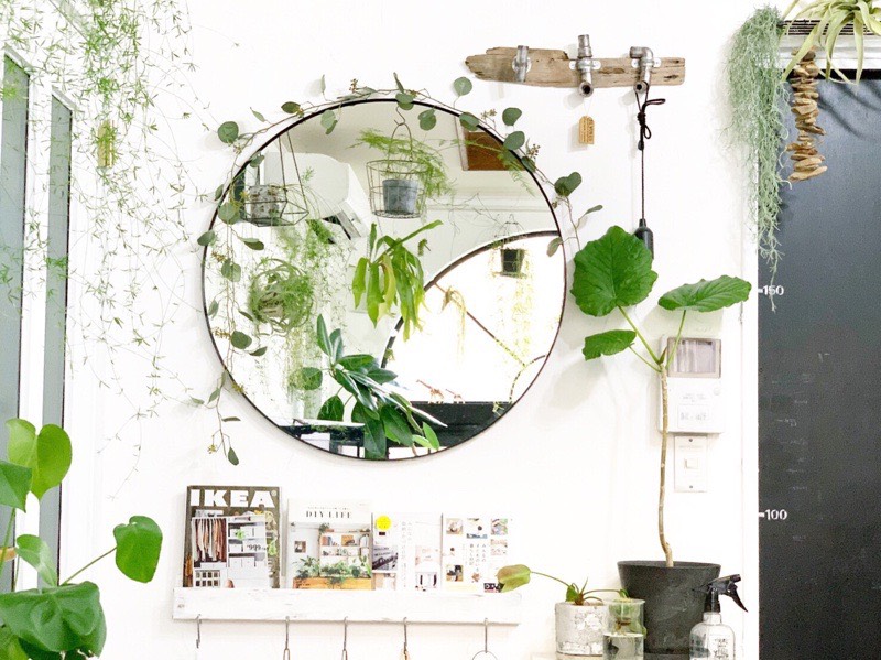 丸い葉っぱのユーカリガーランド