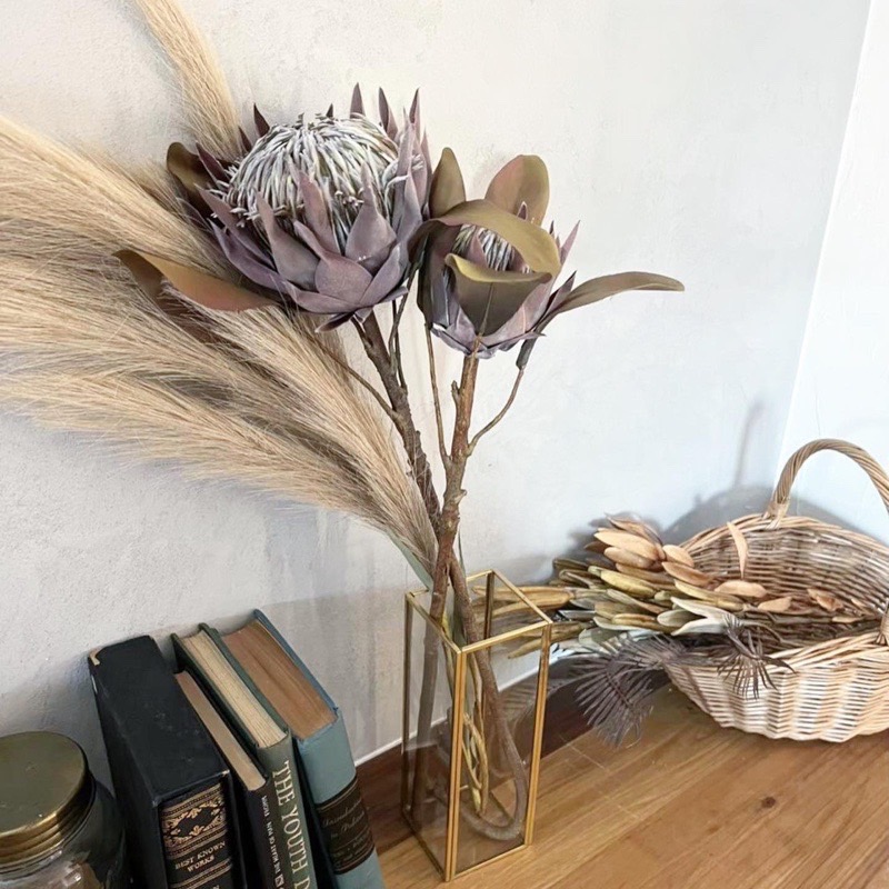 かちかちシードポット