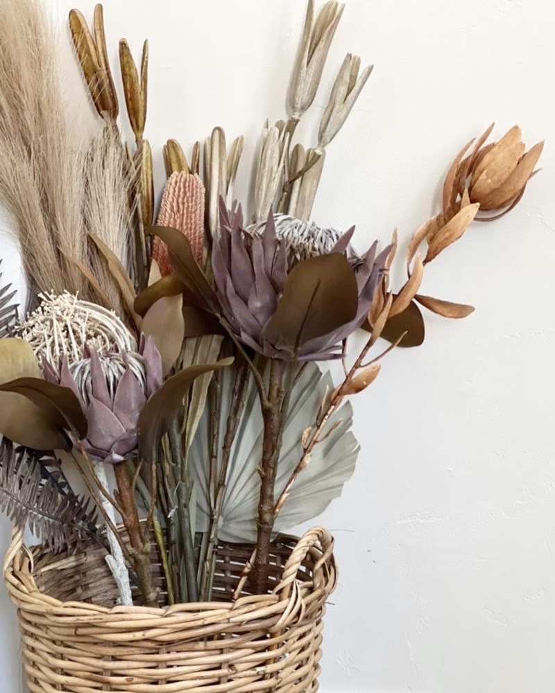 かちかちシードポット