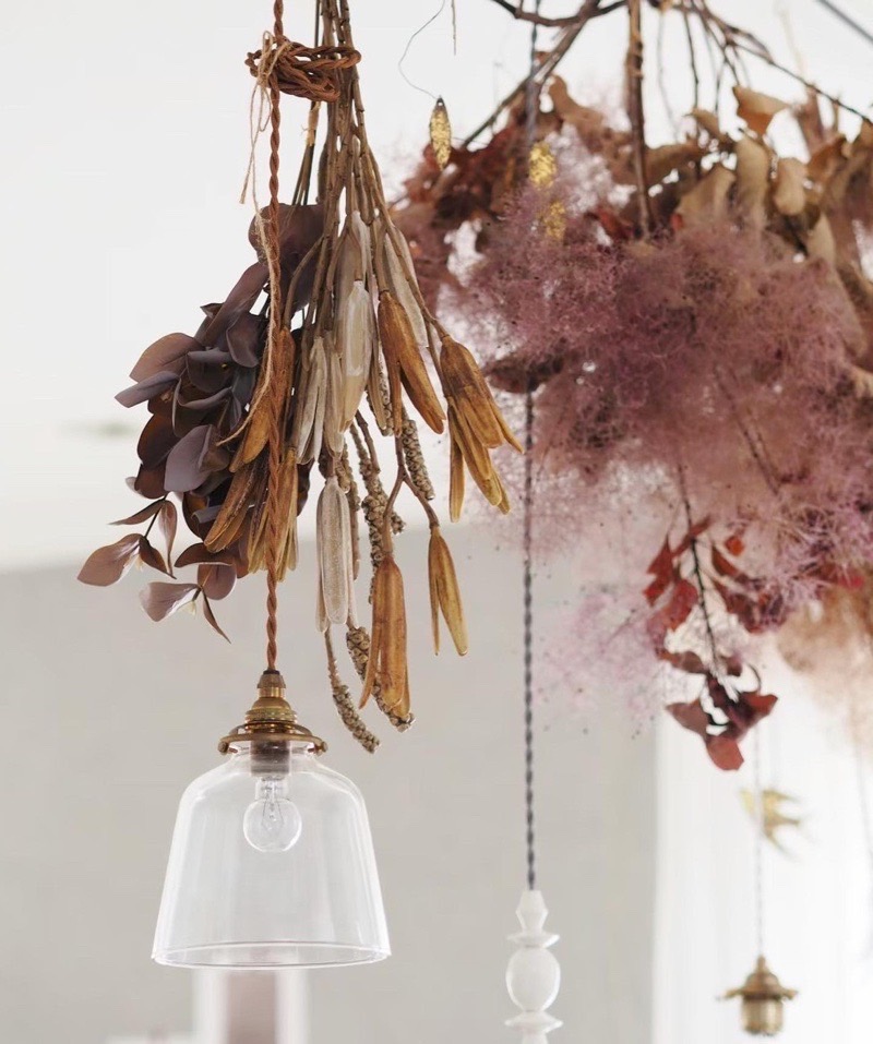 かちかちシードポット