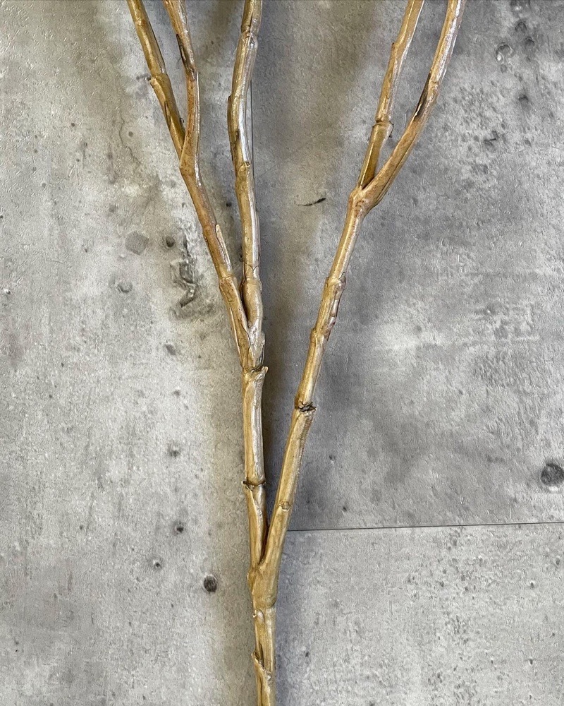 かちかちシードポット