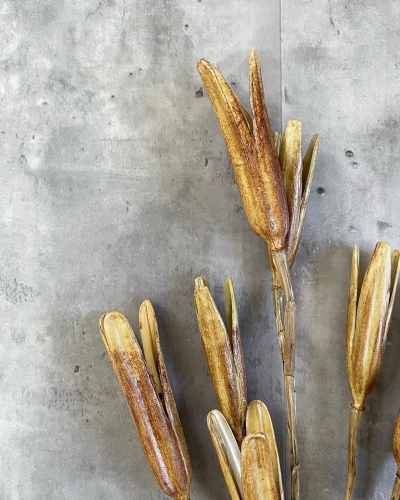 かちかちシードポット