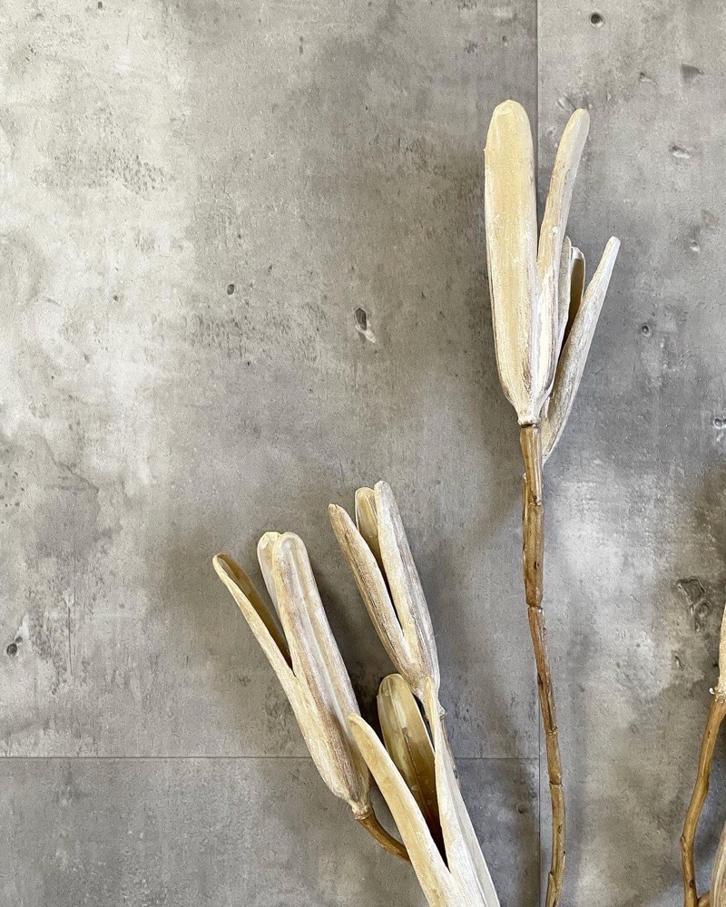 かちかちシードポット