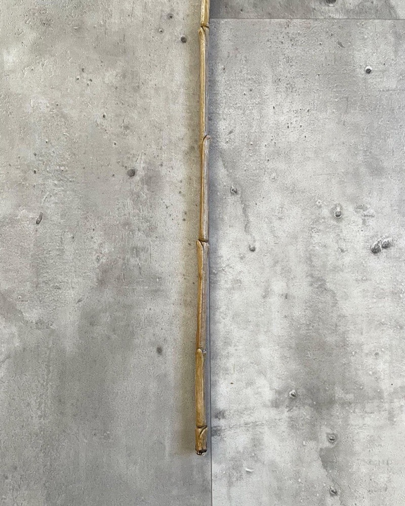 かちかちシードポット