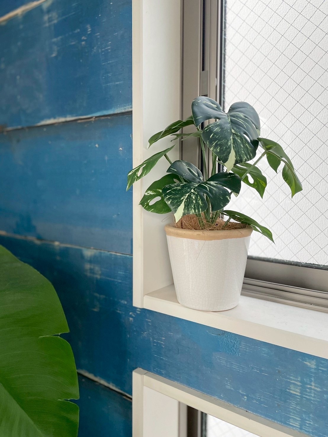 斑入りモンステラ|おしゃれなフェイクグリーン・人工観葉植物通販