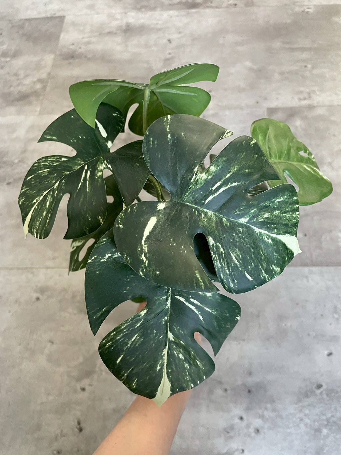 斑入りモンステラ|おしゃれなフェイクグリーン・人工観葉植物通販