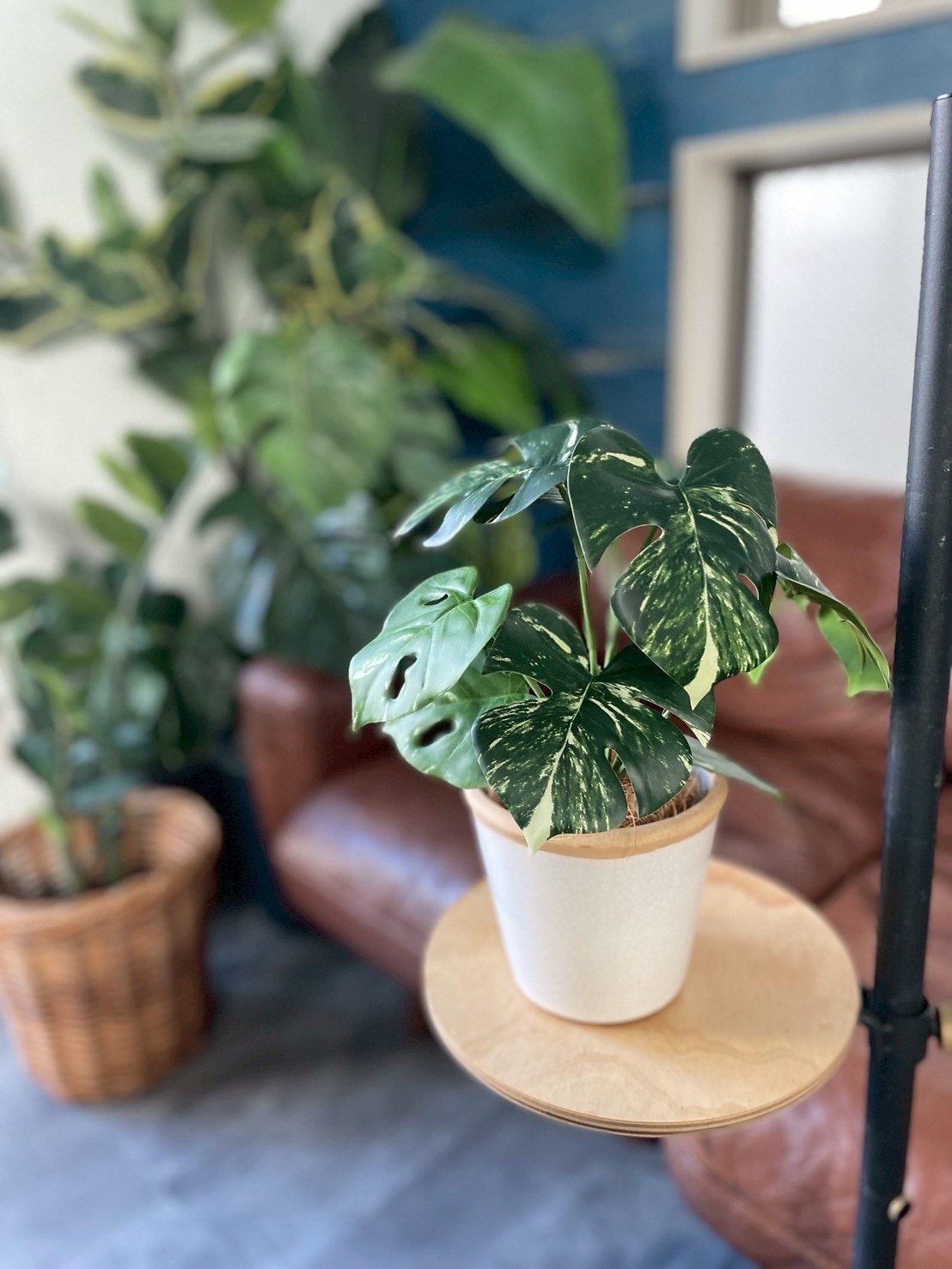 斑入りモンステラ|おしゃれなフェイクグリーン・人工観葉植物通販