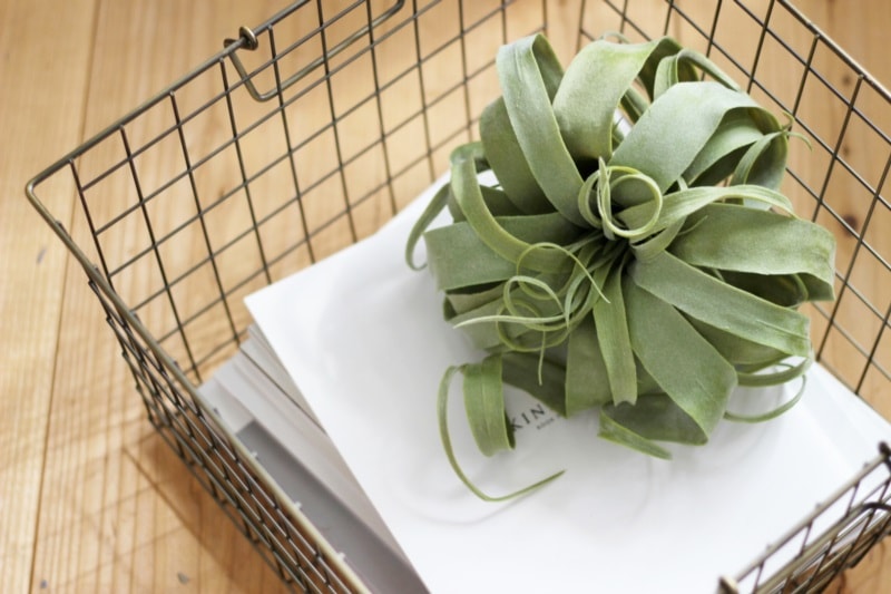 くるくるキセロL