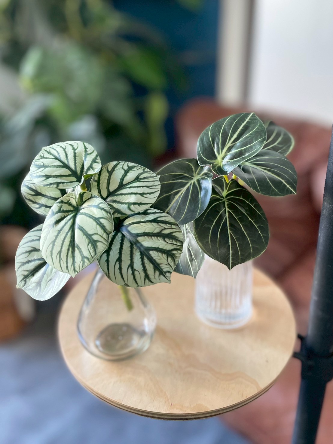 みにぷちグリーン(ゼブラなペペロミア) |おしゃれなフェイクグリーン