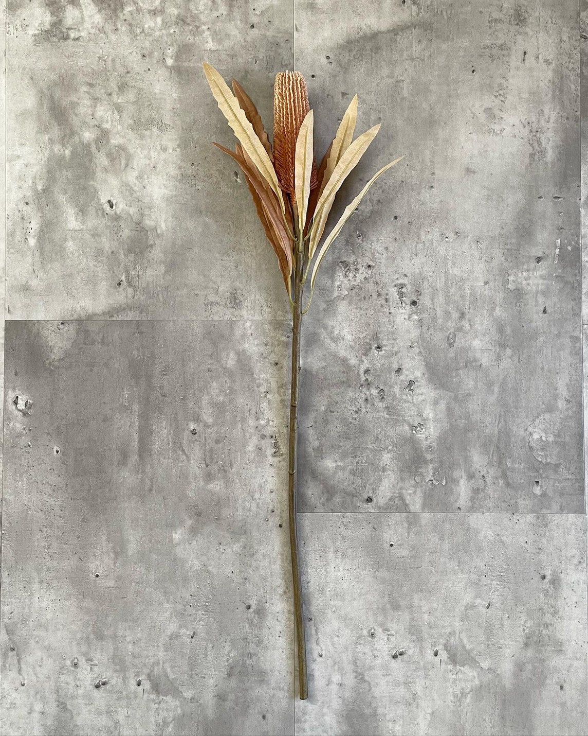 ٤äХ󥯥ʥ饤ȥ֥饦