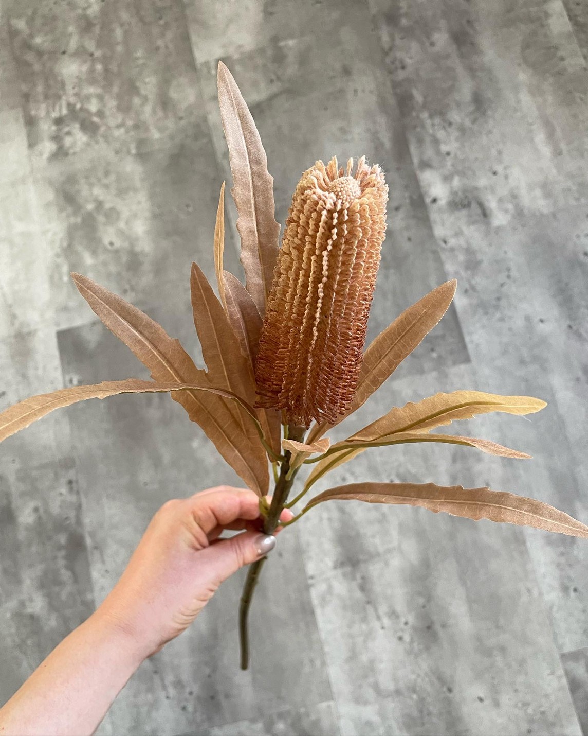 ٤äХ󥯥ʥ饤ȥ֥饦