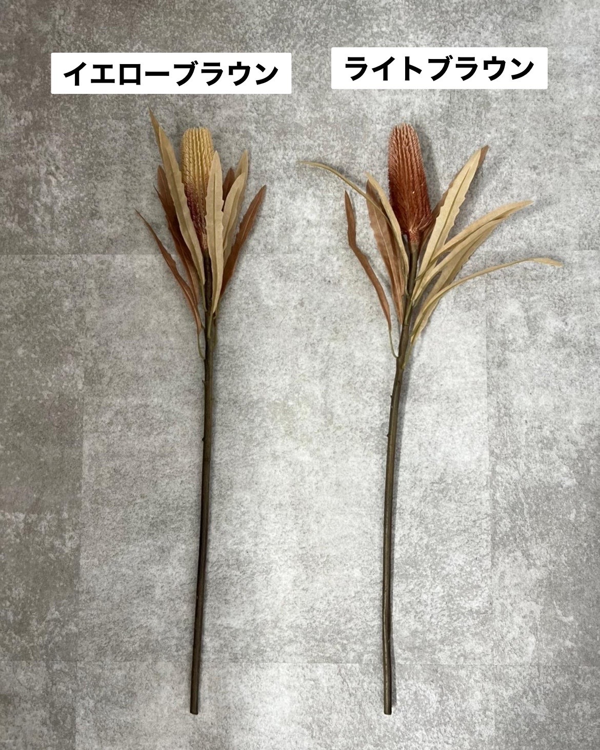 ٤äХ󥯥ʥ饤ȥ֥饦