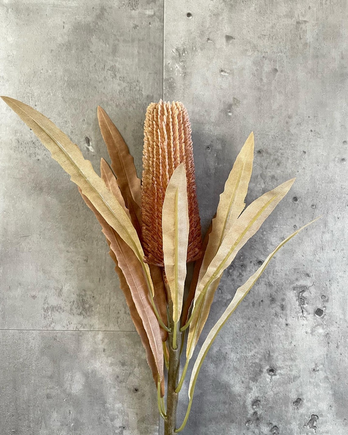 ٤äХ󥯥ʥ饤ȥ֥饦