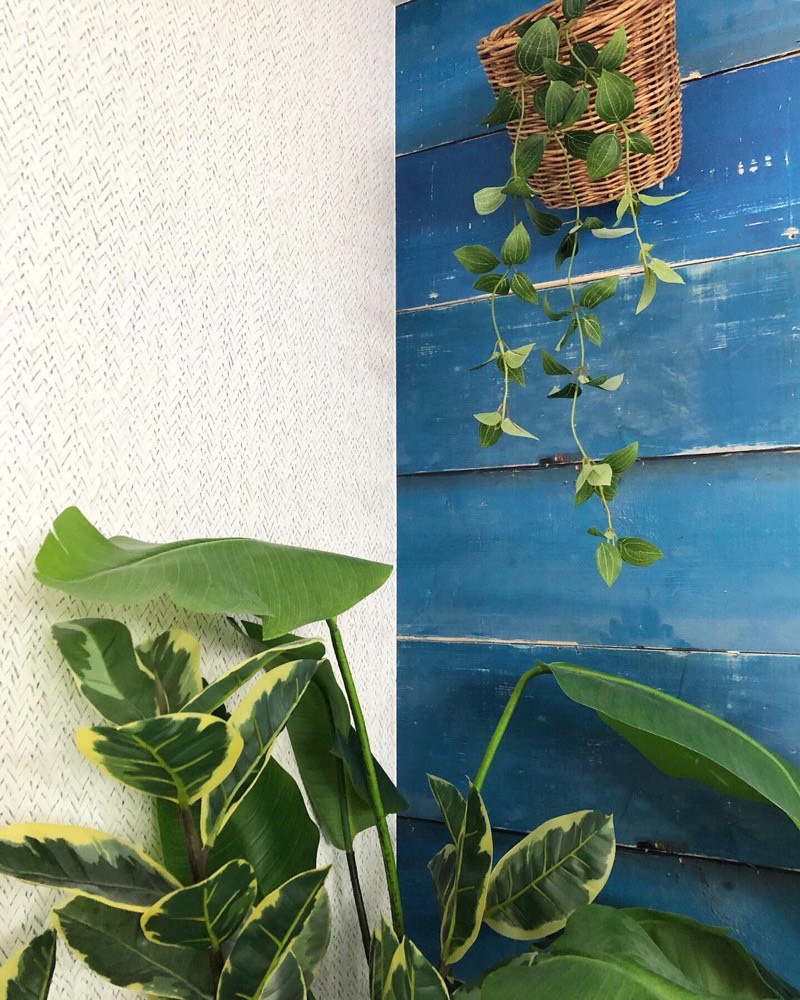 フリーダムリーフ