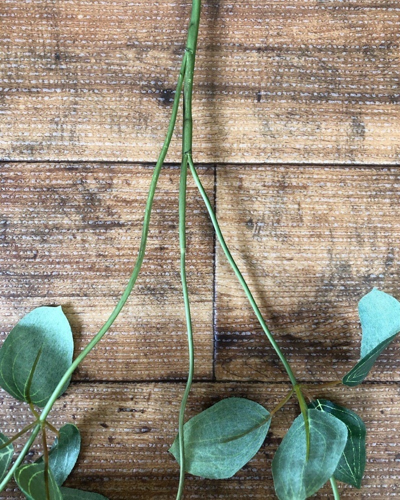 フリーダムリーフ