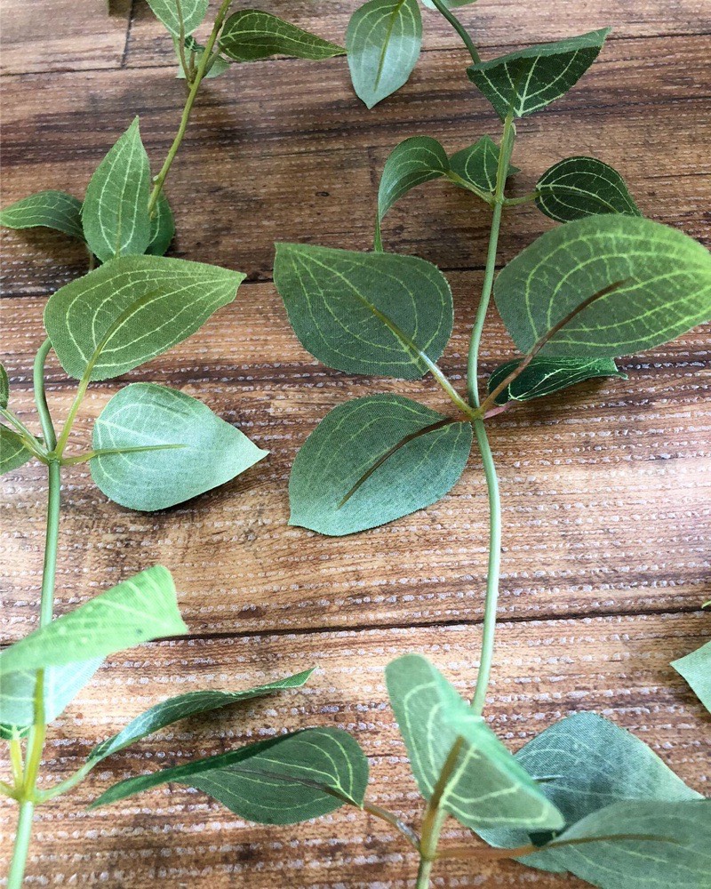 フリーダムリーフ