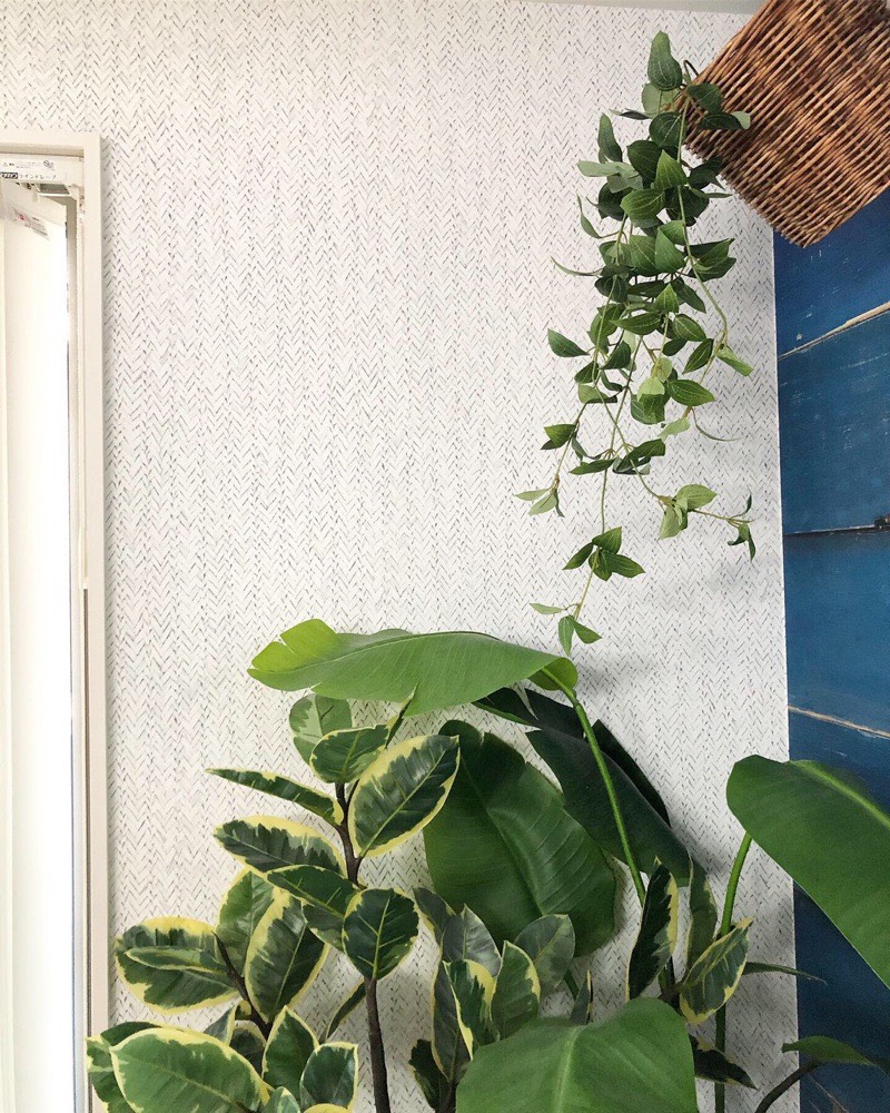 フリーダムリーフ