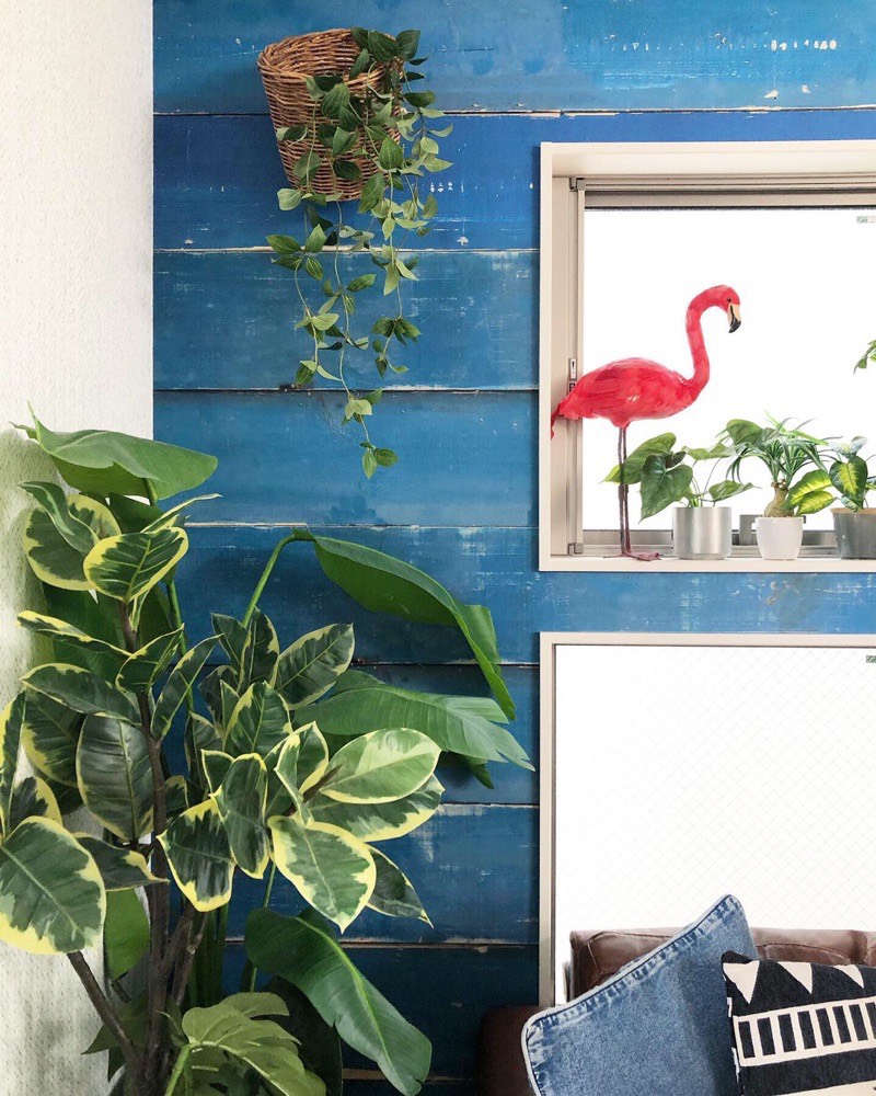 フリーダムリーフ