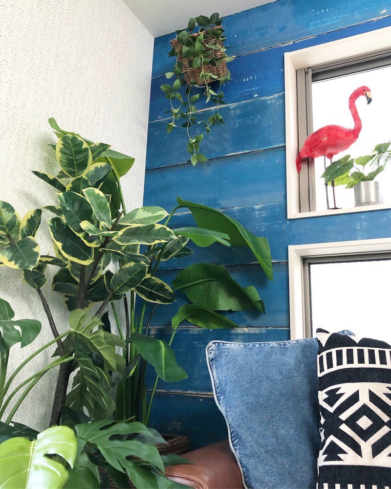 フリーダムリーフ