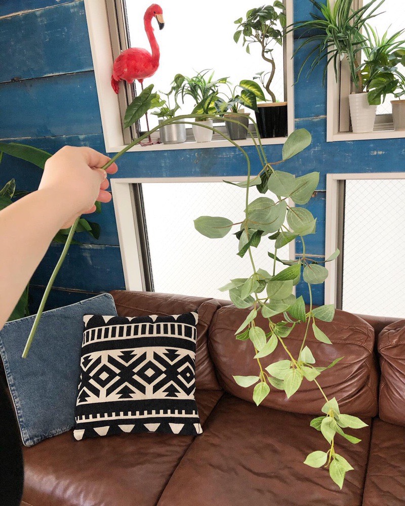 フリーダムリーフ