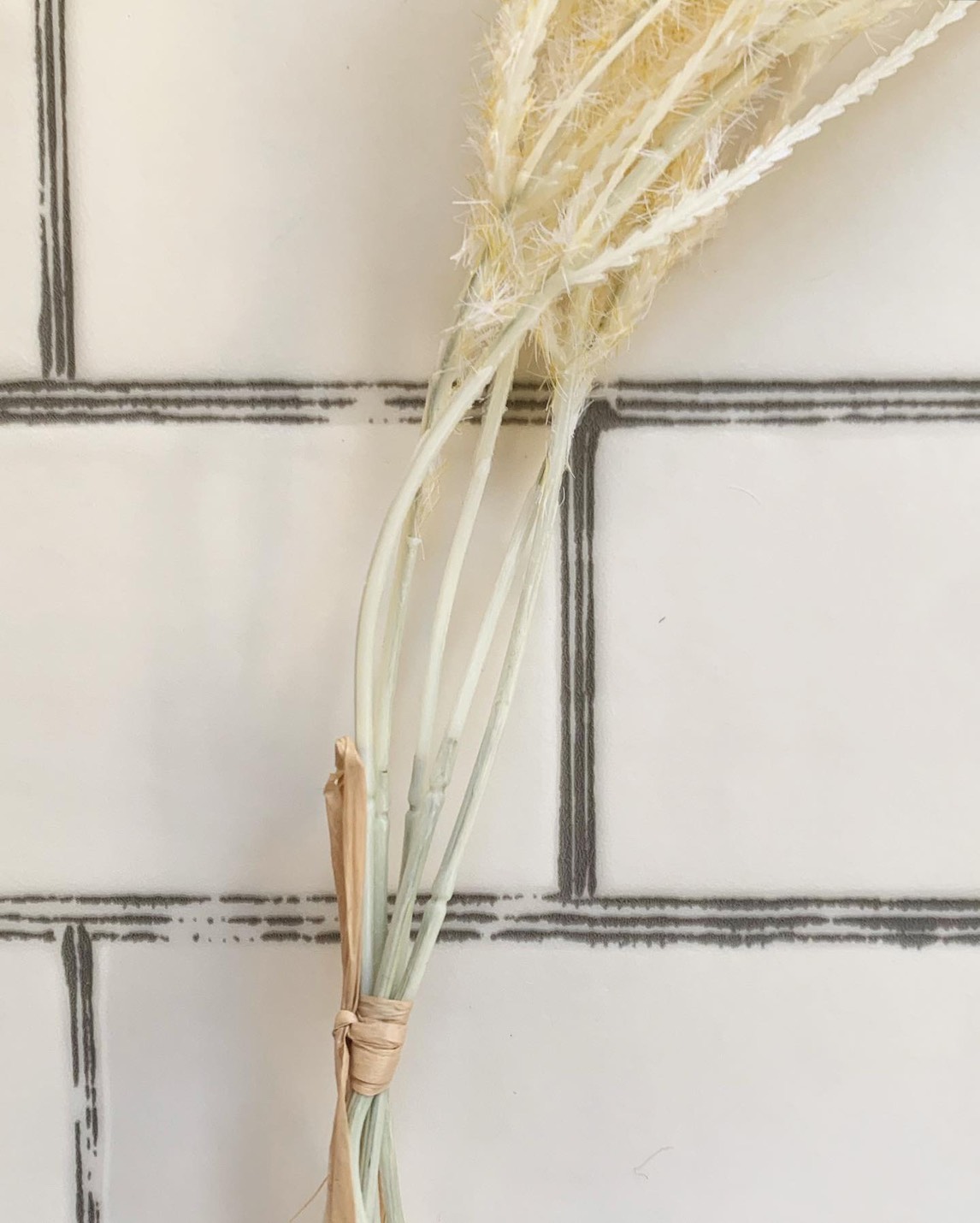 ふわふわシュッシュ