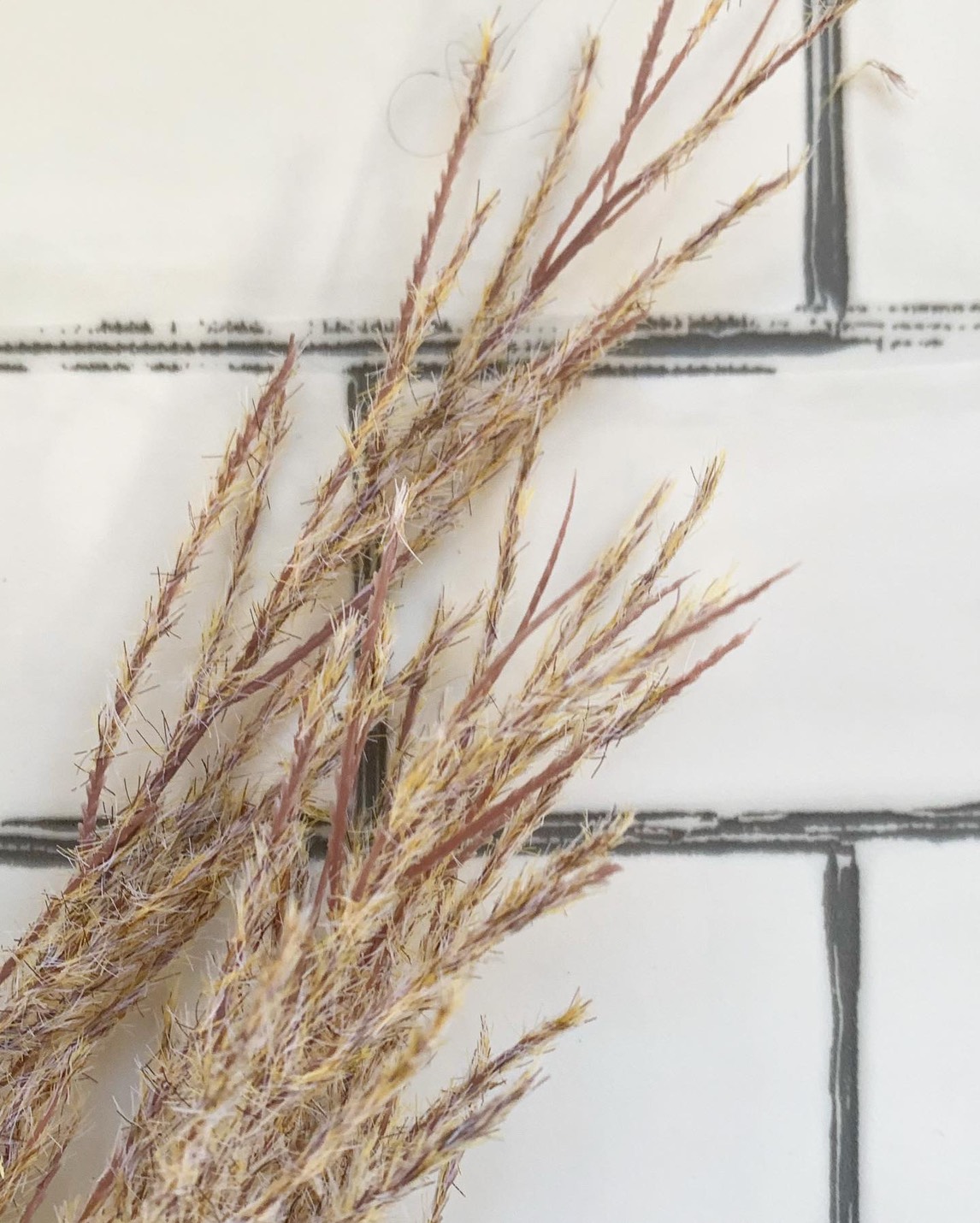 ふわふわシュッシュ