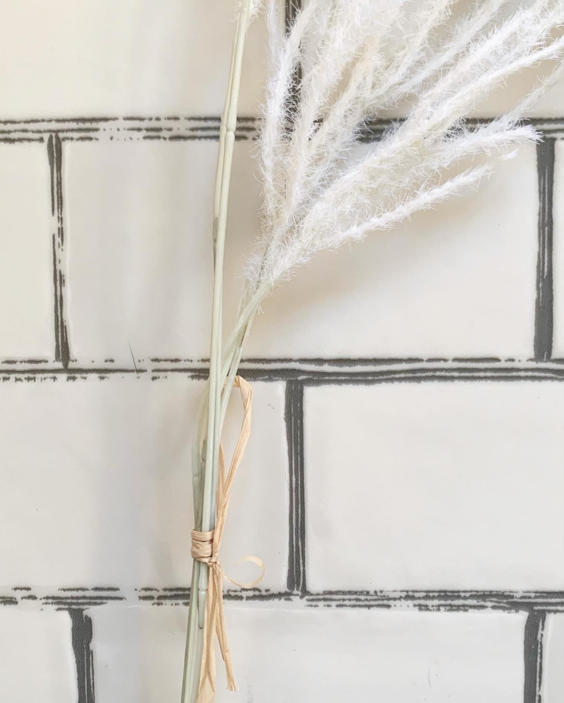 ふわふわシュッシュ