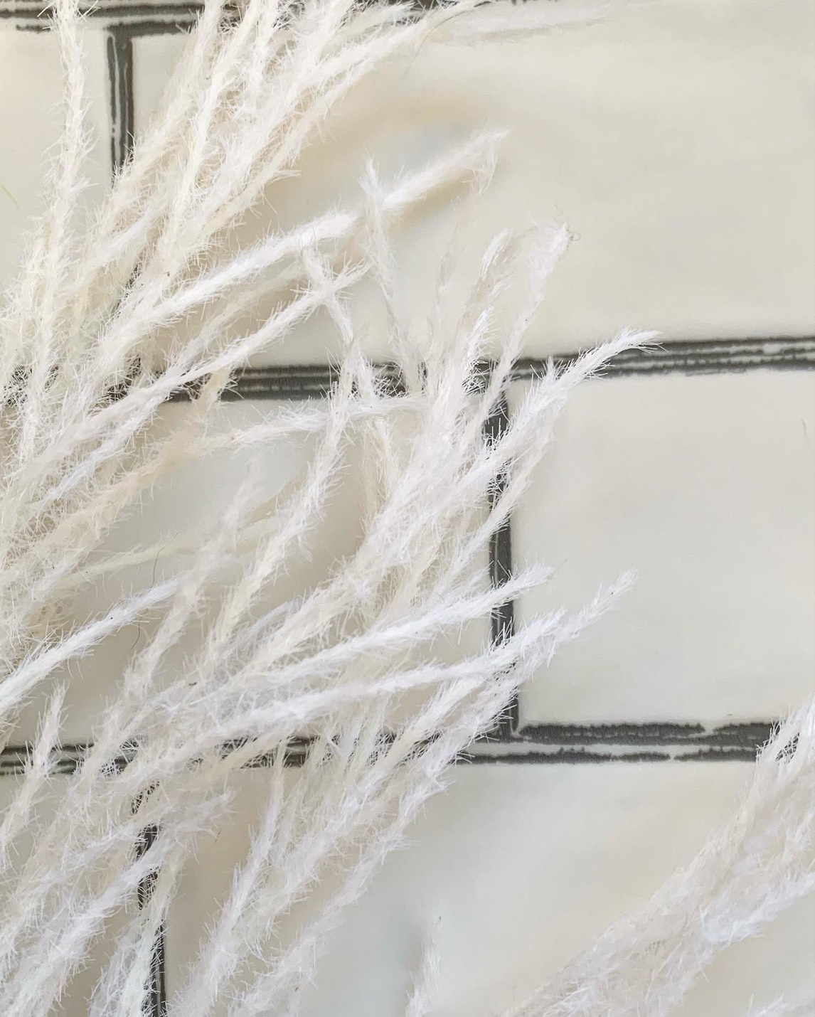 ふわふわシュッシュ