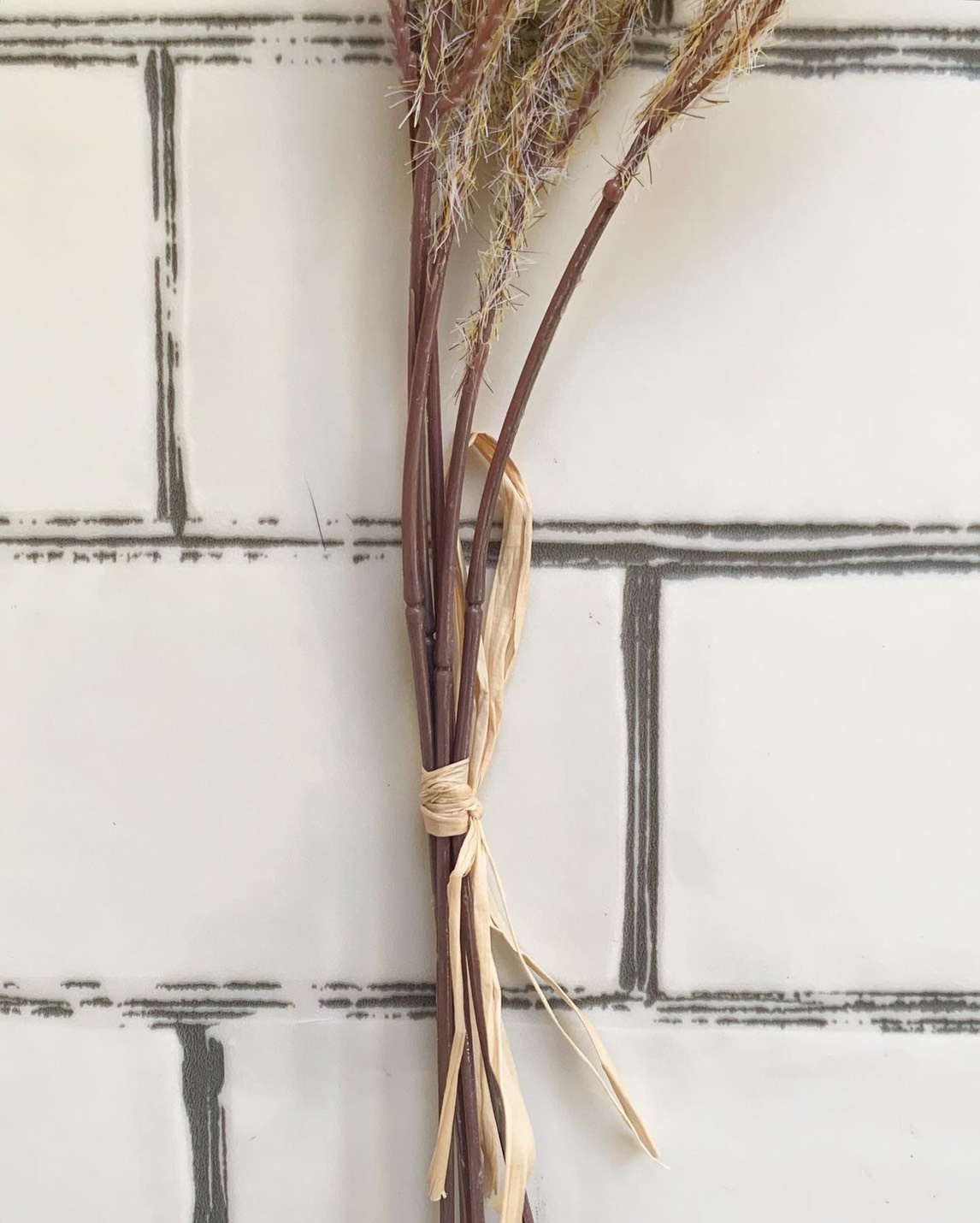 ふわふわシュッシュ