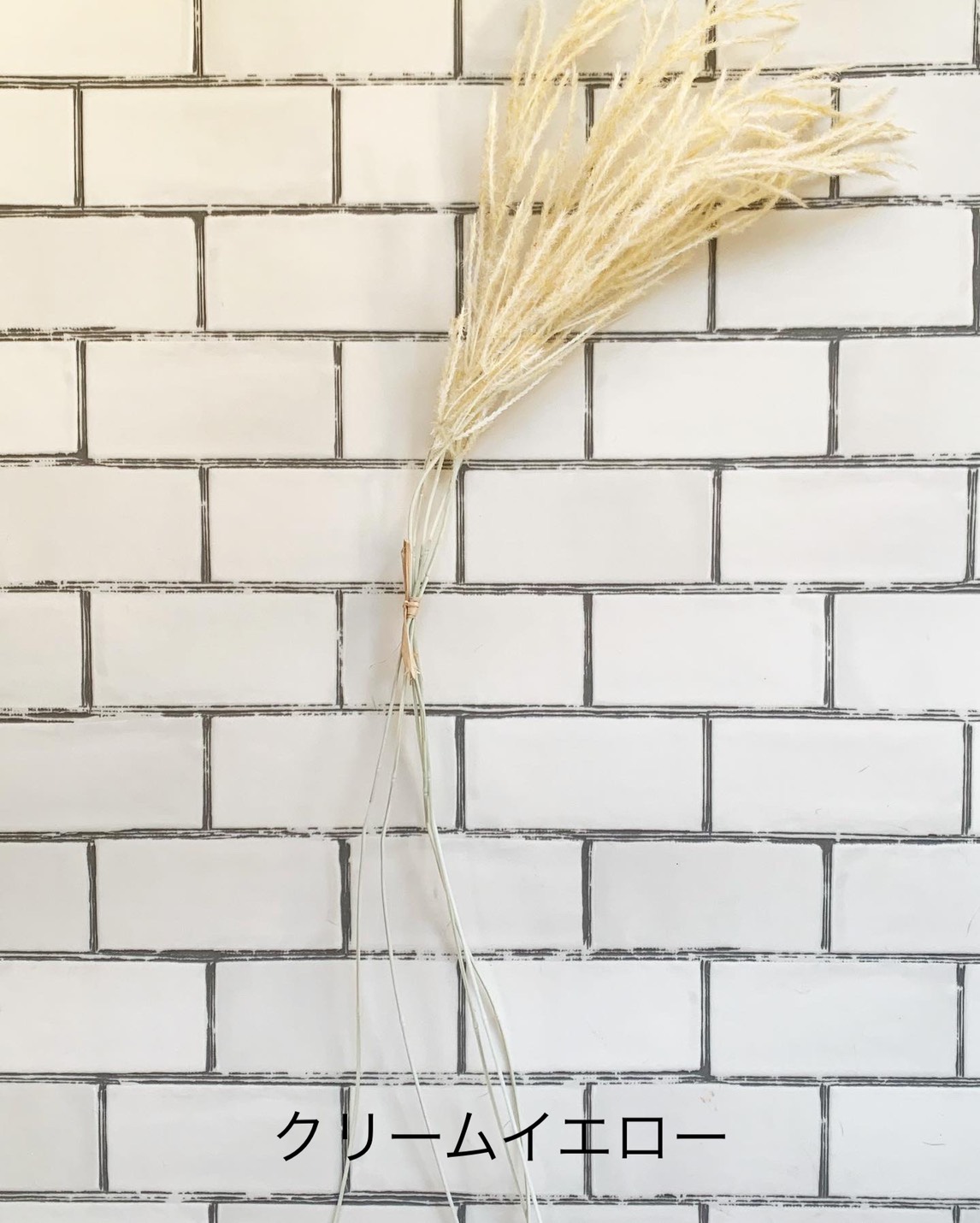 ふわふわシュッシュ