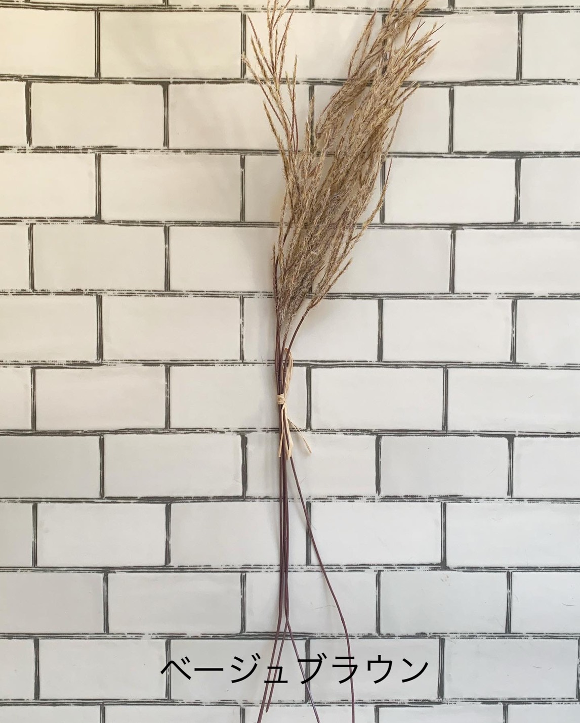 ふわふわシュッシュ