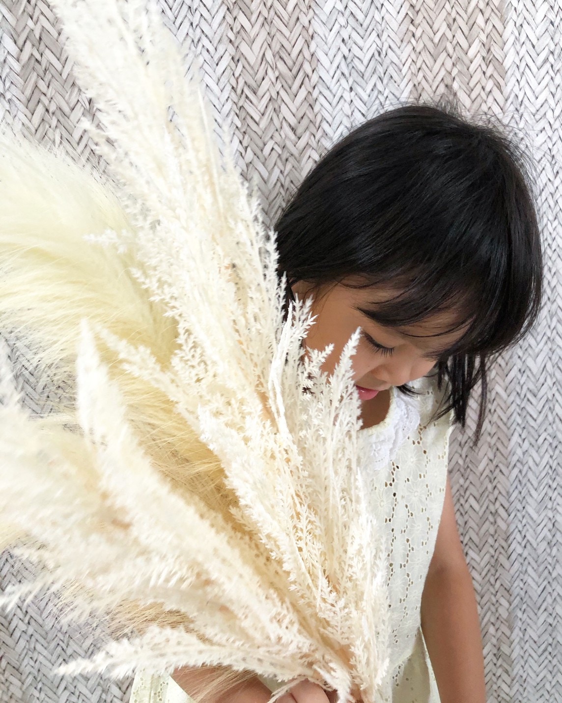 白いパンパスグラスS