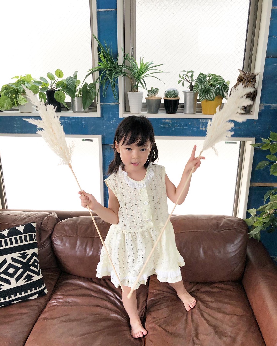 白いパンパスグラスS