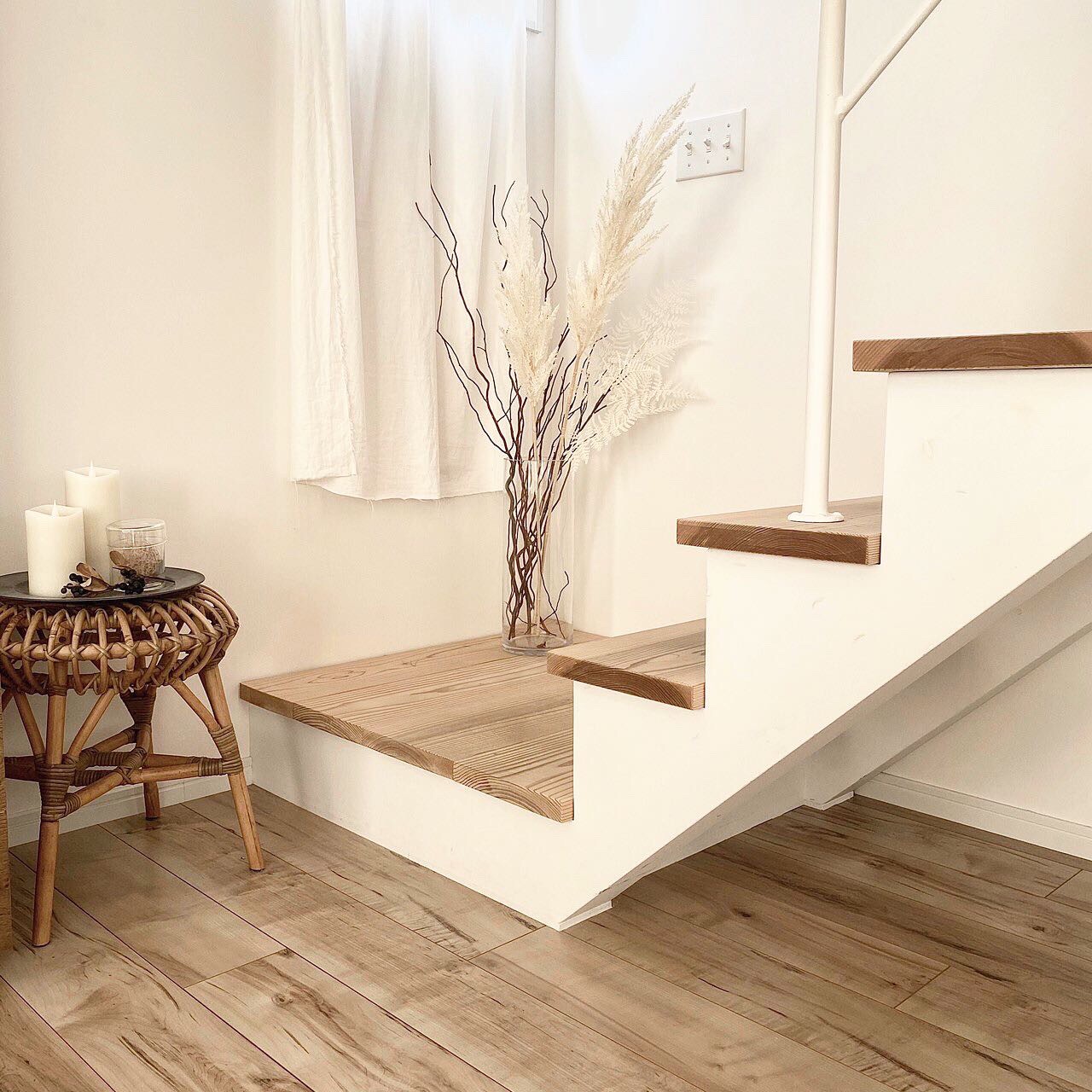 白いパンパスグラスS