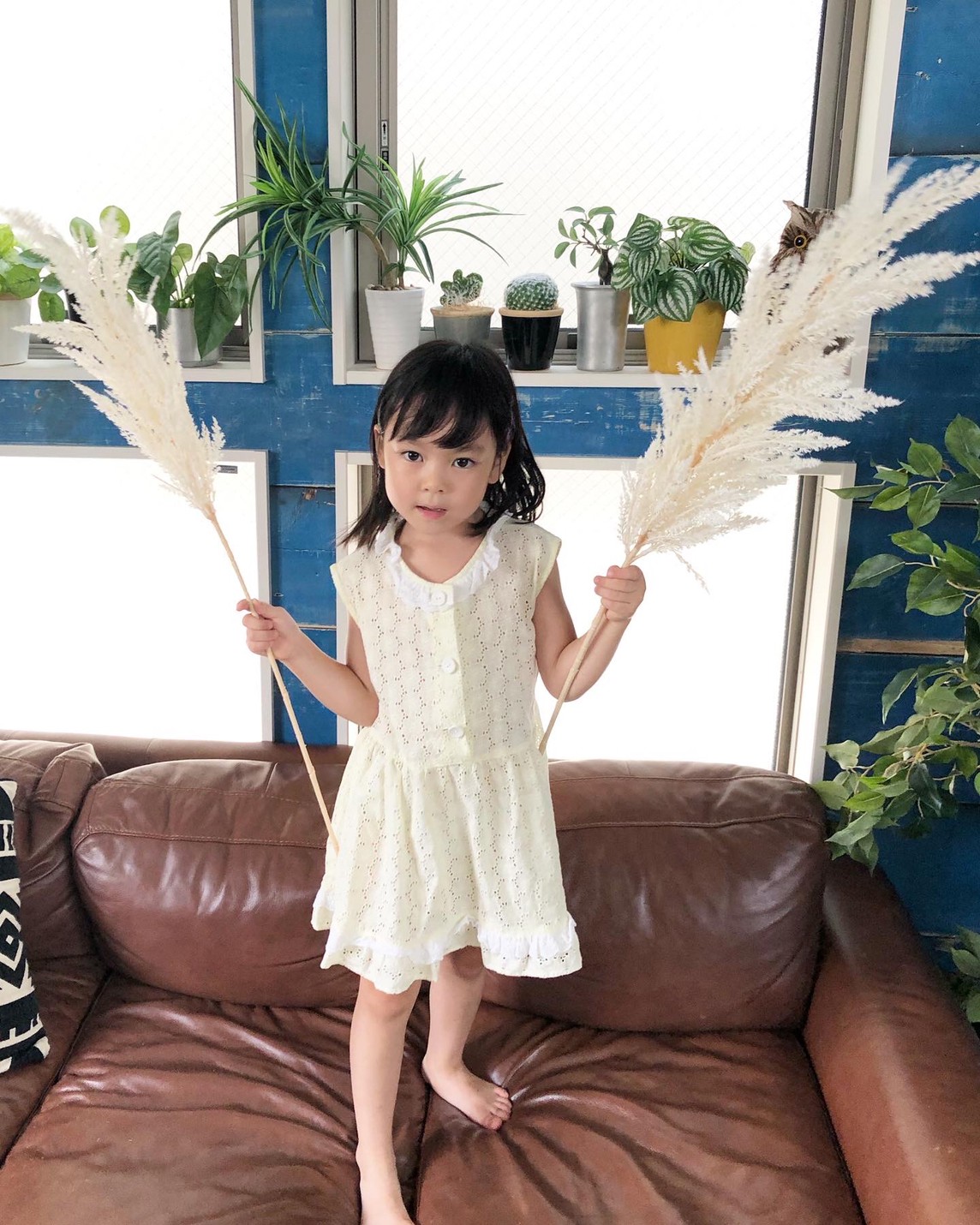 白いパンパスグラスS