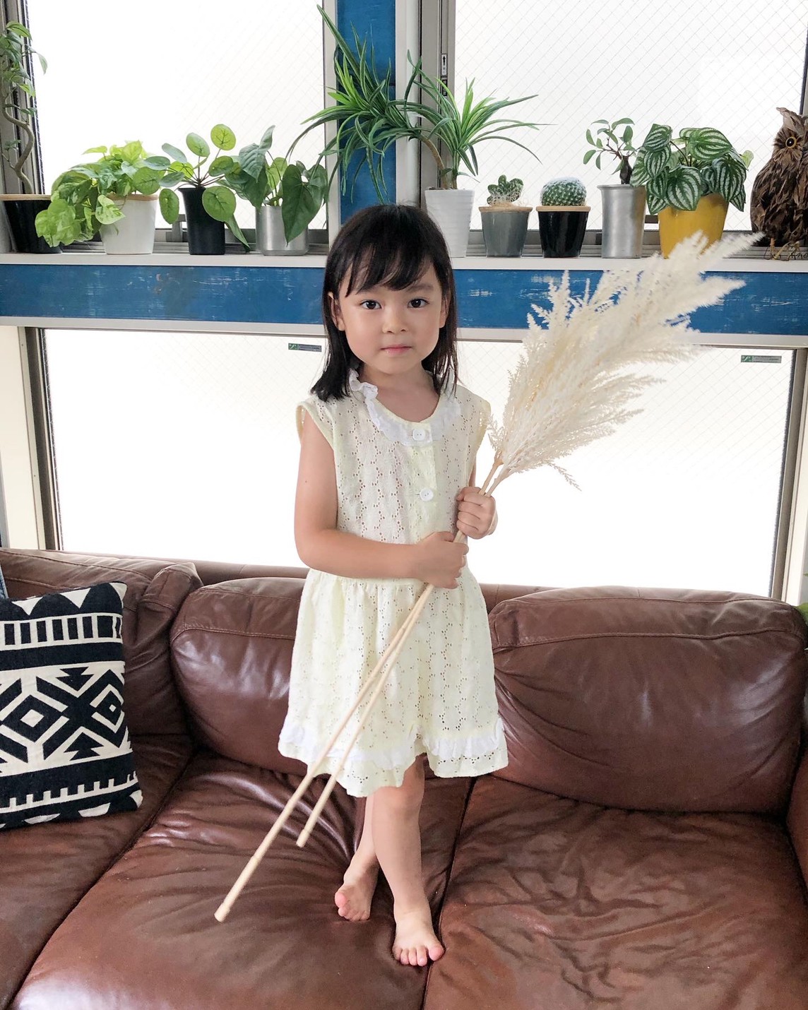 白いパンパスグラスS